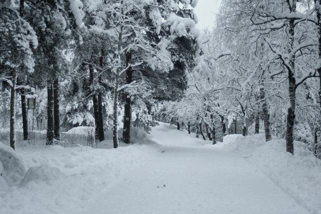 Sok hó esett idén Finnországban, de a hó eltakarítása nem jelent különösebb gondot.