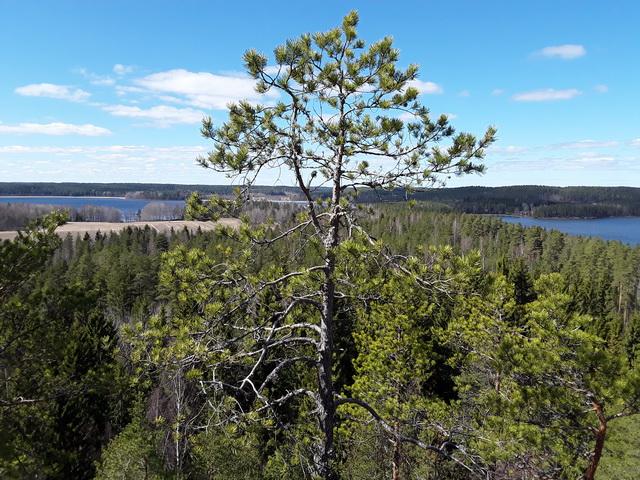 Hiidenvuori, Iitti kistérség, Kymenlaakso régió, Finnország