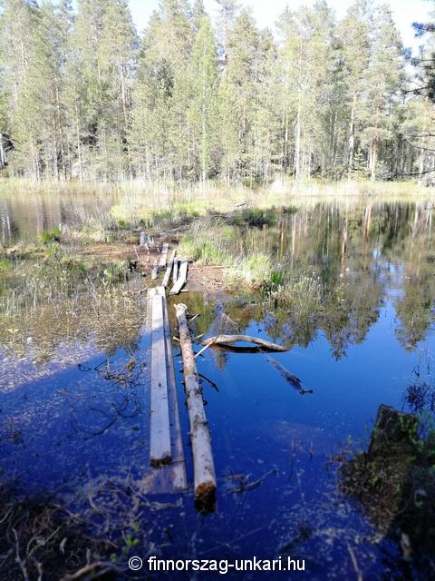 Furcsa kő, Kummakivi