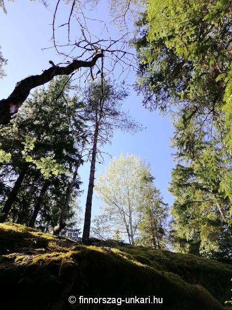 Furcsa kő, Kummakivi