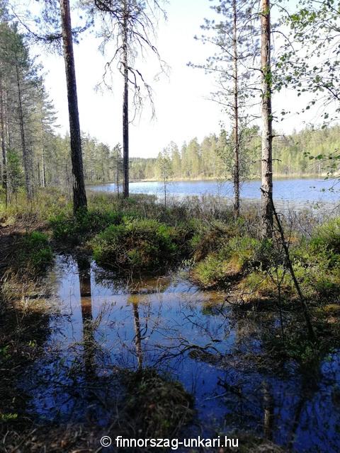 Furcsa kő, Kummakivi