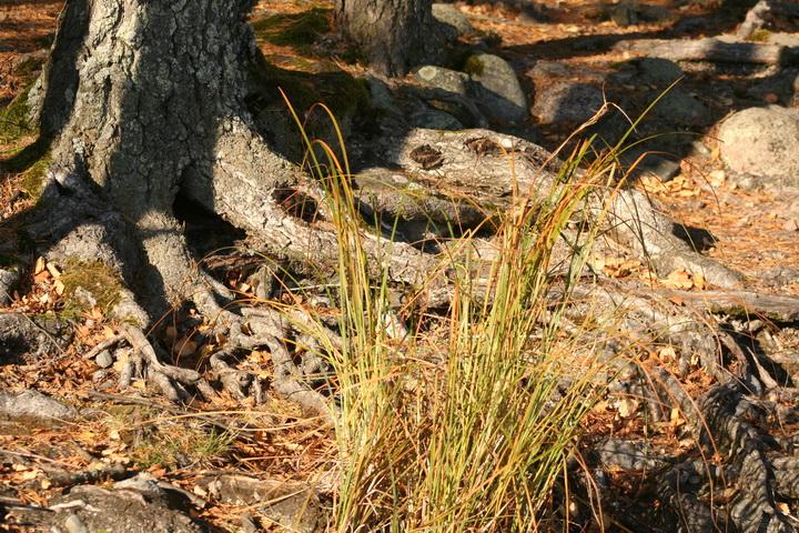 A Pulkkilanharju Lahtitól 30 kilométerre, Északra húzódik, a Päijänne tavon fut át, Asikkala település része