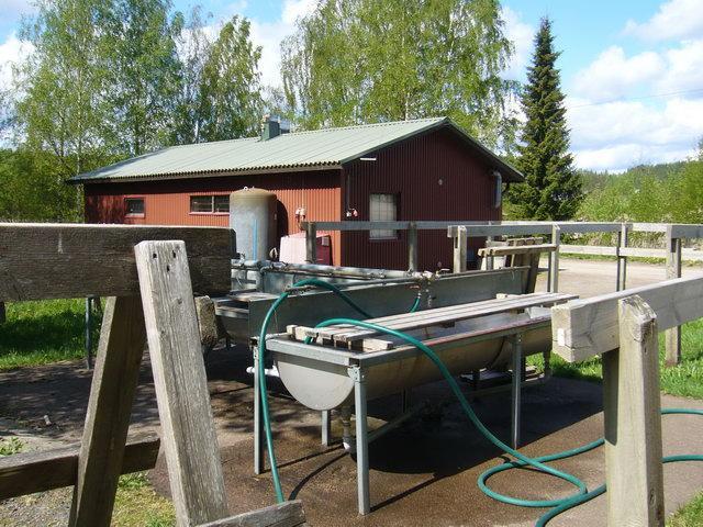 Szőnyegmosás Finnországban, matonpesupaikat Suomessa