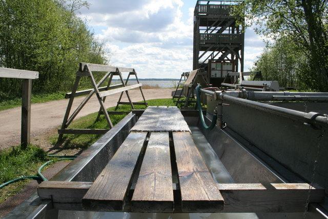 Szőnyegmosók Finnországban – Matonpesua Suomessa